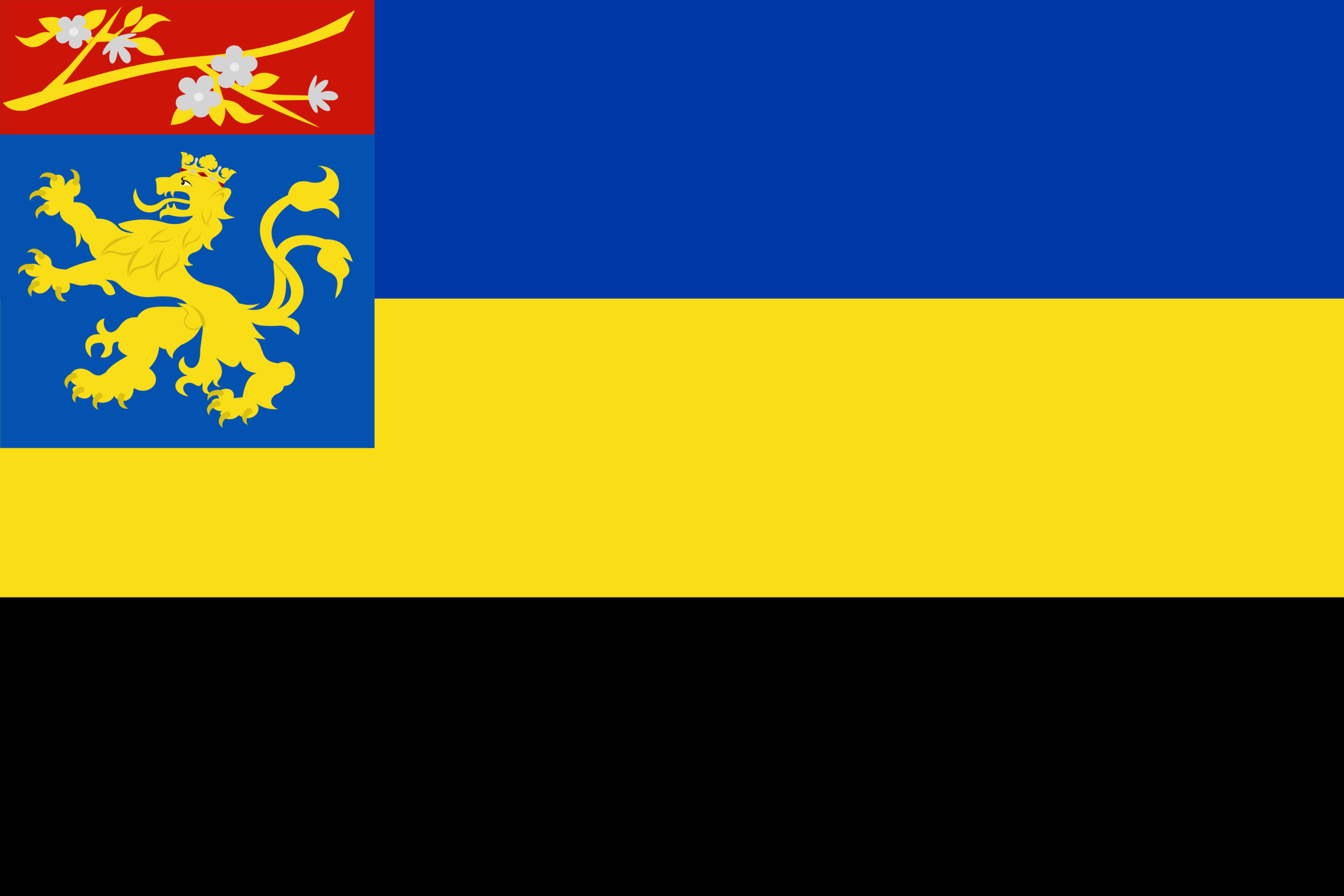 Vlag van Doornspijk Vlag van Doornspijk